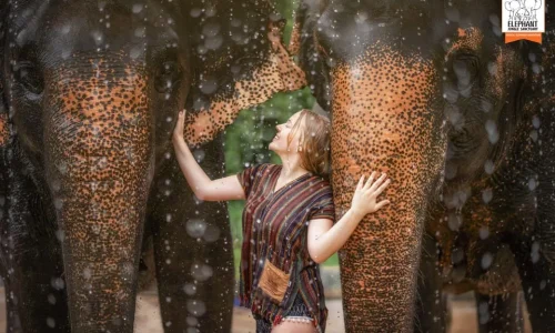 9-Days Ultimate Kenya Wildlife Safari Adventure
