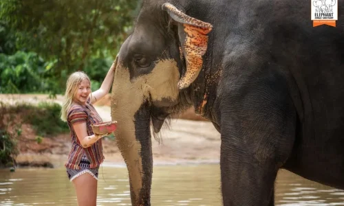 9-Days Ultimate Kenya Wildlife Safari Adventure