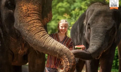 9-Days Ultimate Kenya Wildlife Safari Adventure