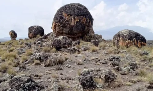 6-Days Mount Kenya Trek: Chogoria to Naromoru Route Hiking Experience