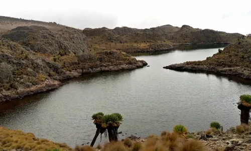 3-Days Mount Kenya Hike from Chogoria to Sirimon Route