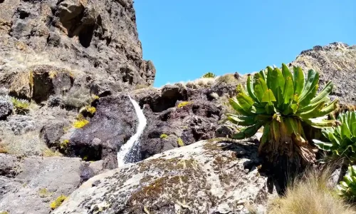 5-Days Mount Kenya Lake Tour & Point Lenana Summit Trek
