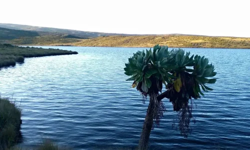 5-Days Mount Kenya Lake Tour & Point Lenana Summit Trek