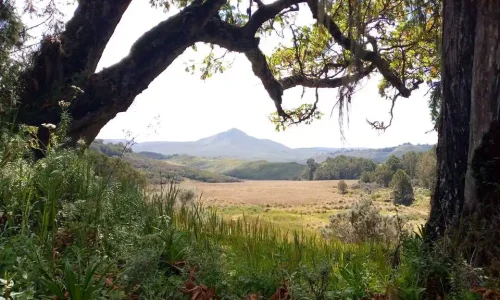 5-Days Mount Kenya Lake Tour & Point Lenana Summit Trek