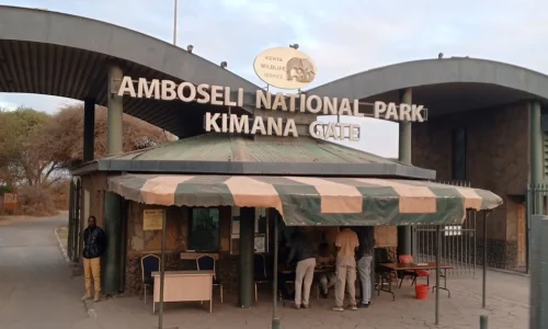 6-Days Kenya Bush Safari: Masai Mara, Lake Nakuru & Amboseli
