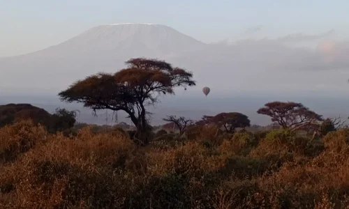 6-Days Kenya Bush Safari: Masai Mara, Lake Nakuru & Amboseli
