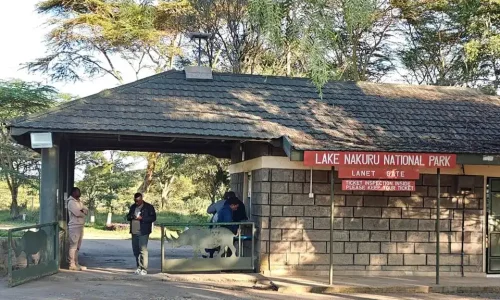 6-Days Kenya Bush Safari: Masai Mara, Lake Nakuru & Amboseli