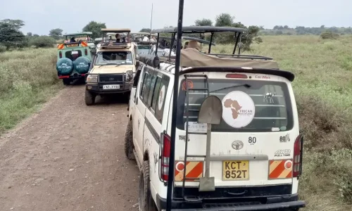Nairobi National Park Half Day Tour & Giraffe Centre Visit