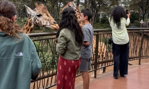 Nairobi National Park Half Day Tour & Giraffe Centre Visit